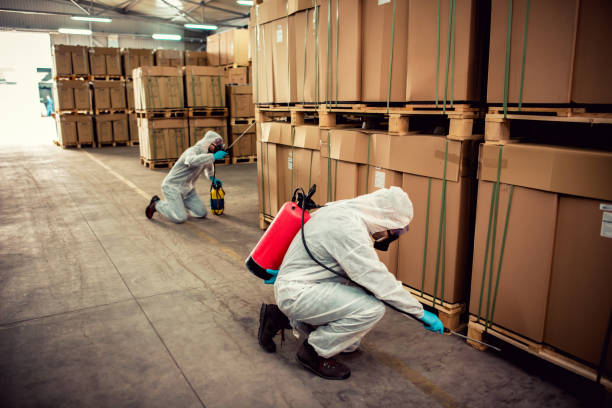 Best Rat Extermination Near Me  in North Valley Stream, NY