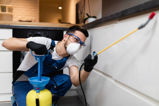 Best Local Pest Control Services  in North Valley Stream, NY